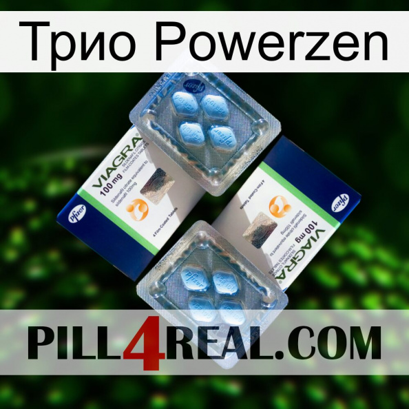 Трио Powerzen viagra5.jpg